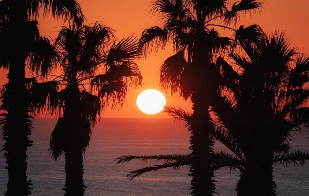 Il sole tramonta sull'oceano, incorniciato dalle sagome delle palme contro un cielo arancione intenso.