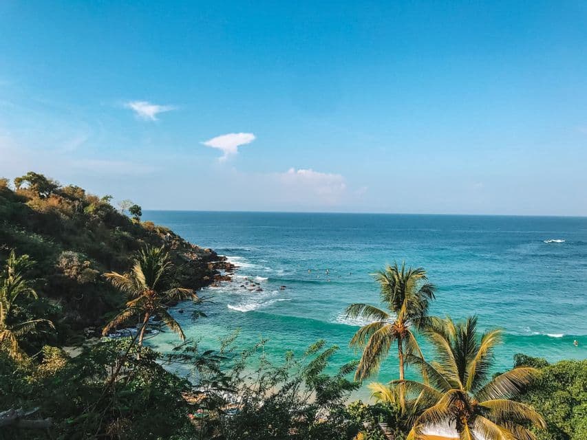 A scenic view of a tropical coastline with turquoise water, a green headland, palm trees, and surfers in the ocean.