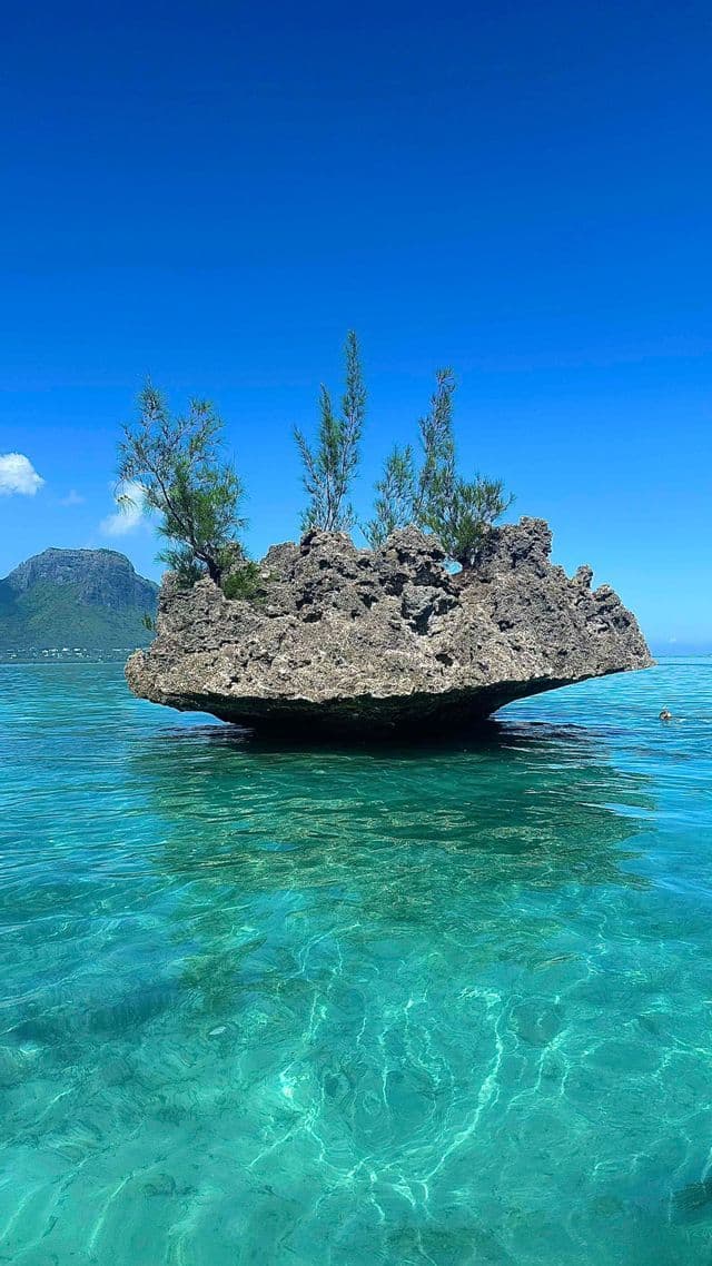 Un gran islote rocoso con varios árboles pequeños se encuentra en aguas tranquilas y cristalinas de color turquesa, con una montaña visible a lo lejos.