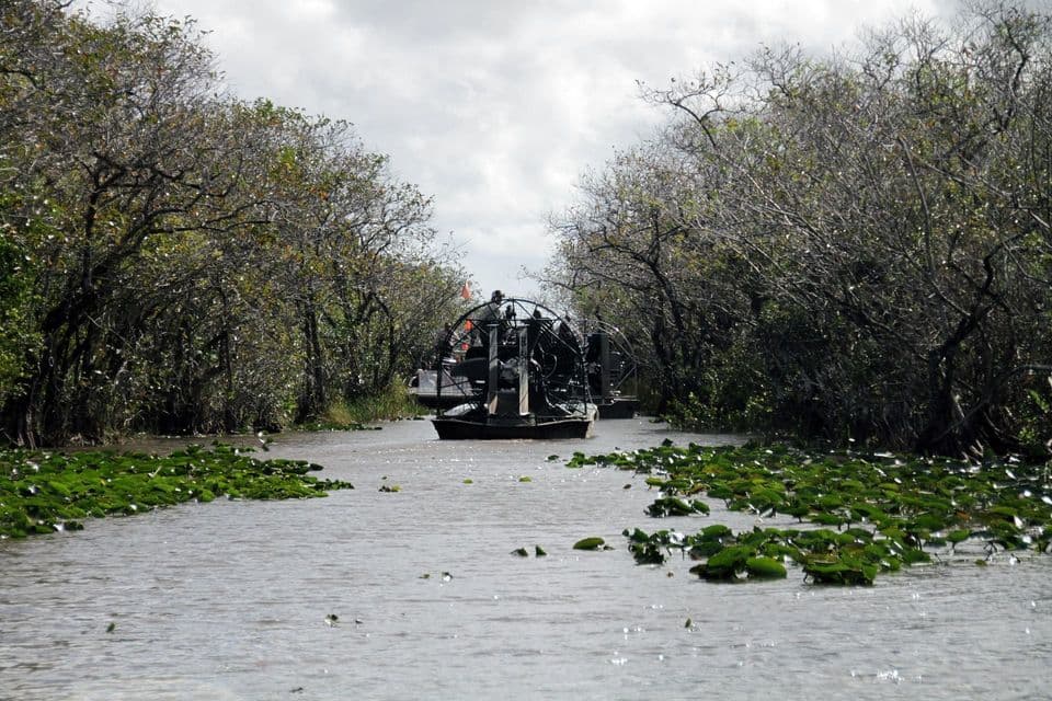 Un viaggio di gruppo WeRoad a bordo di due airboat che navigano in uno stretto canale costeggiato da fitti alberi e ninfee, sotto un cielo nuvoloso.