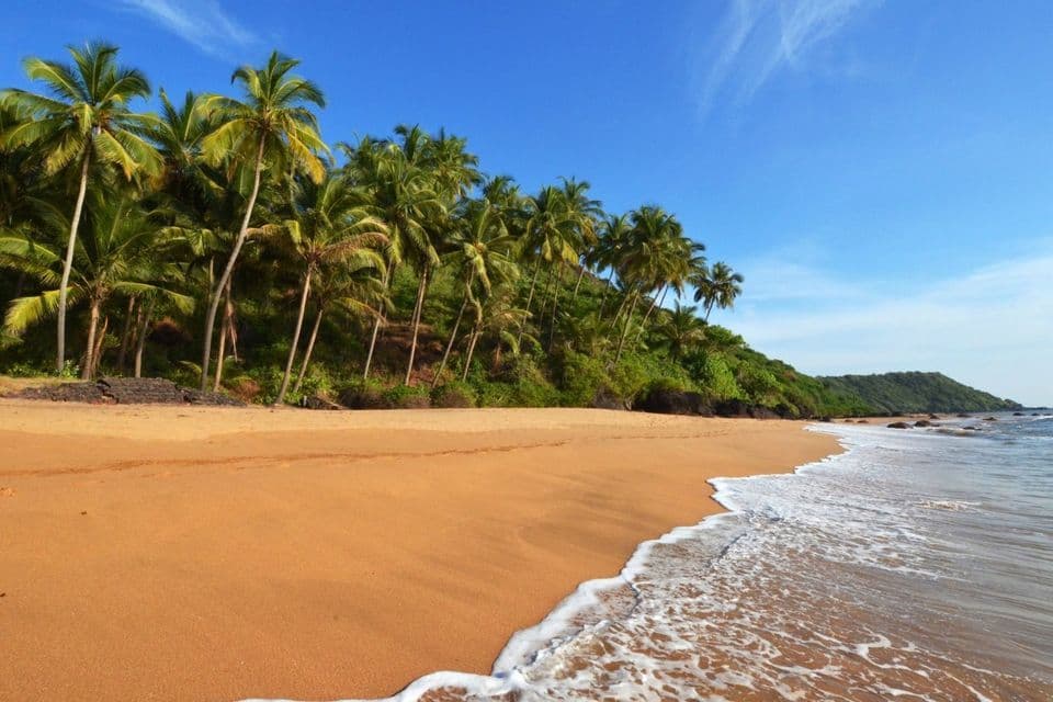 Sanfte Meereswellen plätschern an einem goldenen Sandstrand, gesäumt von hohen Palmen unter einem strahlend blauen Himmel.