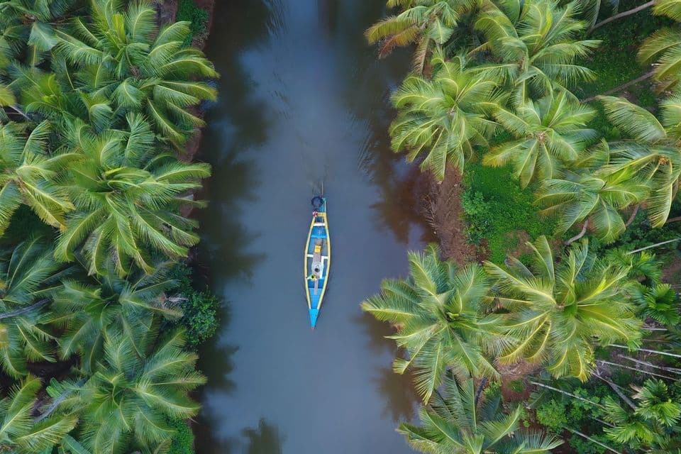 Eine Luftaufnahme von oben eines einzelnen Bootes, das einen Fluss hinunterfährt, umgeben von üppig grünen Palmen.