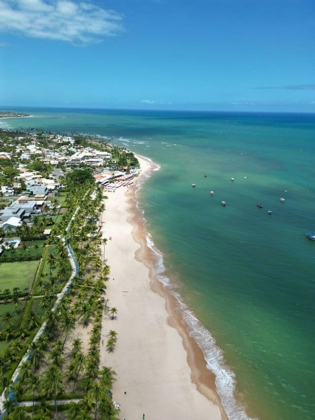 Vue aérienne d'une plage de sable blanc et d'un océan turquoise bordant une ville côtière bordée de palmiers luxuriants.