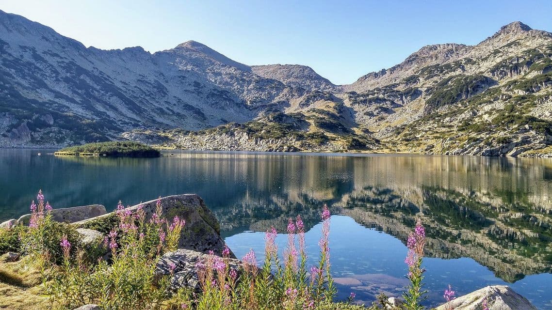 Un limpido lago di montagna riflette vette rocciose e un cielo azzurro, con fiori selvatici viola e rocce lungo la riva in primo piano.