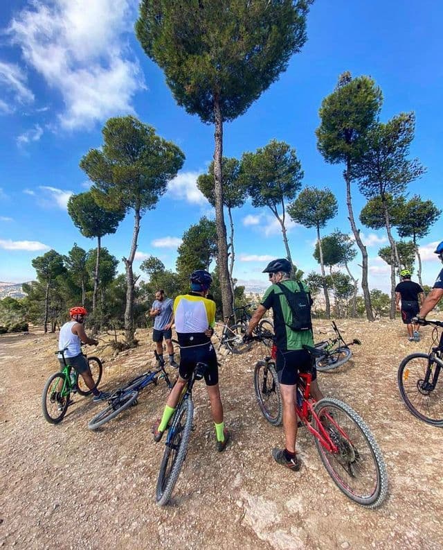 Un gruppo WeRoad in viaggio fa una pausa con le mountain bike su un sentiero sterrato tra alti pini sotto un cielo azzurro.