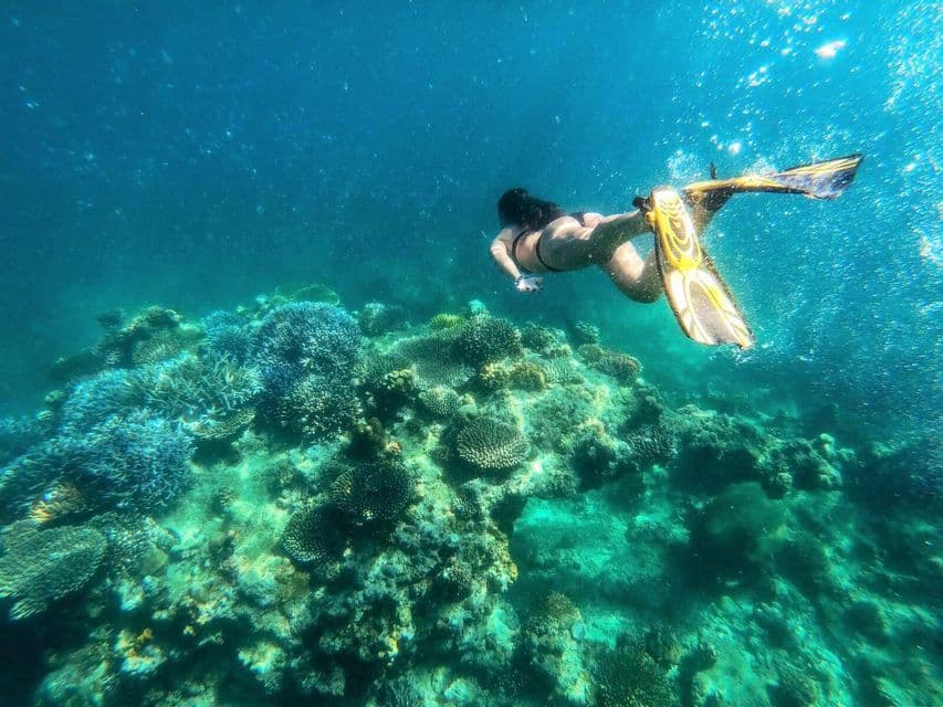 Eine Frau mit gelben Flossen schnorchelt in klarem türkisfarbenem Wasser über einem großen Korallenriff.