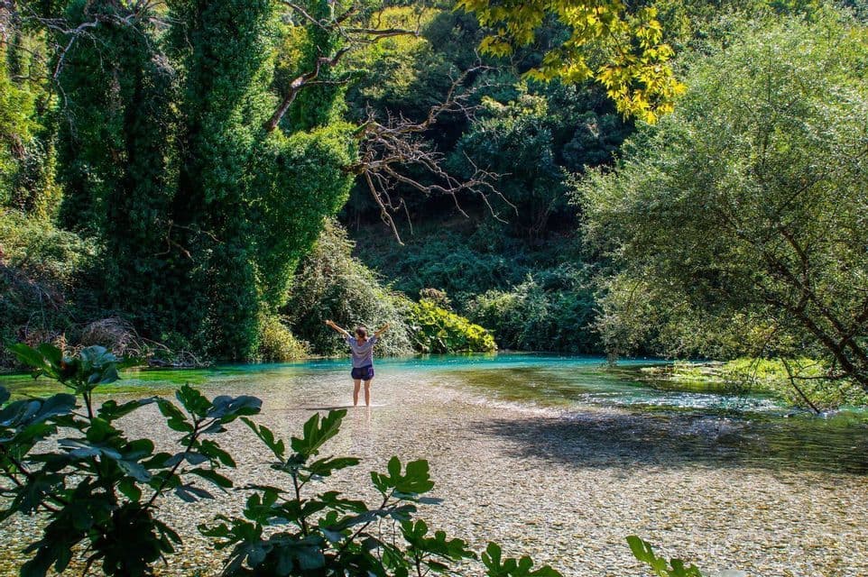 A person with arms outstretched stands in a shallow, clear river surrounded by a lush green forest.