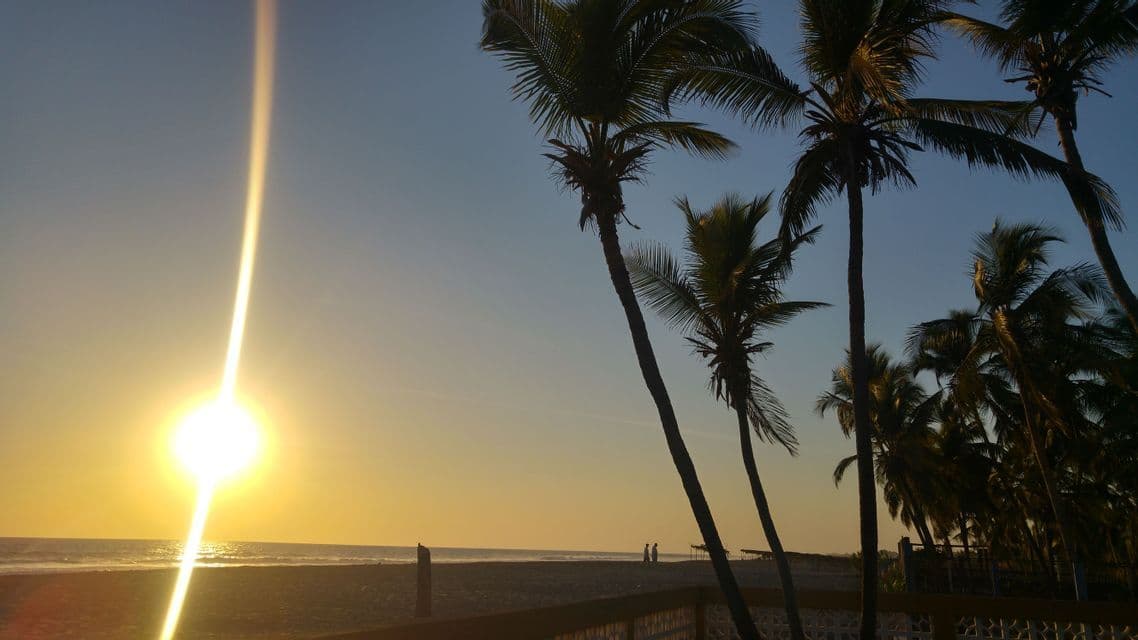 Eine goldene Sonne geht über dem Meer unter, wodurch ein Linsenreflex neben silhouettierten Palmen an einem Sandstrand entsteht.