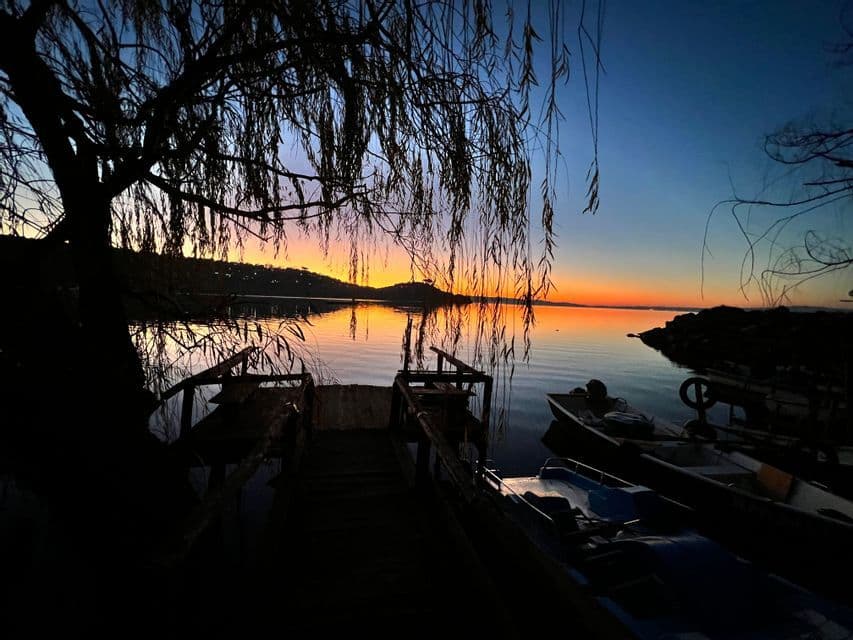 Un salice piangente in silhouette incornicia una vista di barche ormeggiate su un lago calmo durante un tramonto colorato.