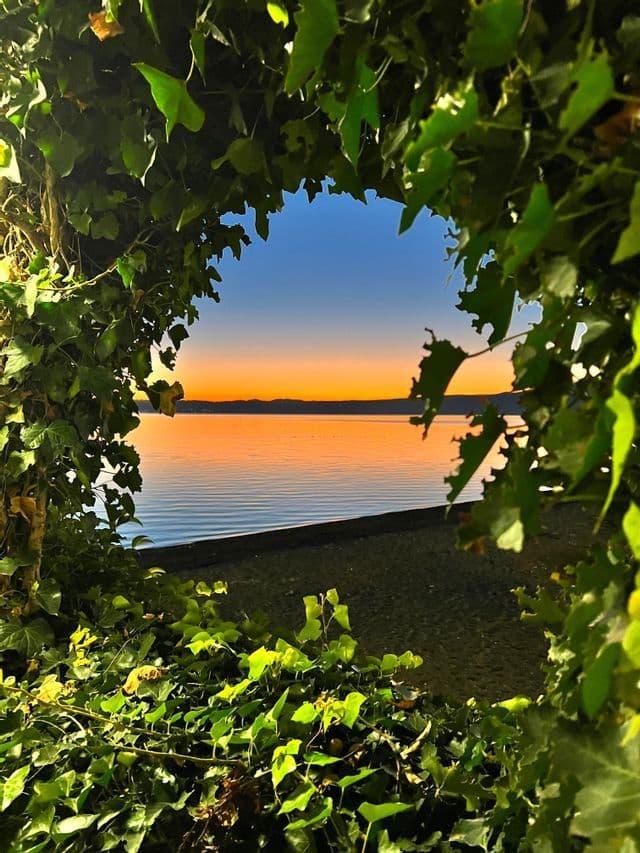Veduta di un lago calmo e della riva al tramonto, attraverso un arco di foglie di edera verde.