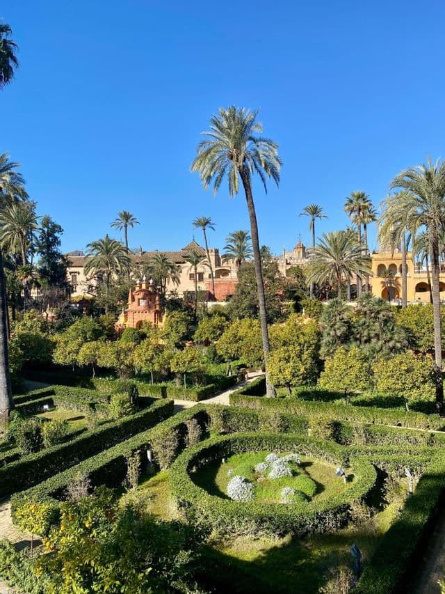 Una vista elevada de un exuberante jardín formal con setos esculpidos, altas palmeras y edificios históricos bajo un cielo azul claro.