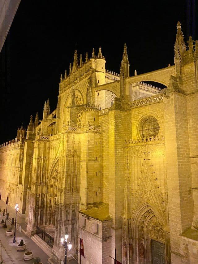 Una catedral de piedra ornamentada con intrincadas tallas y agujas es iluminada por cálidas luces amarillas contra un cielo nocturno oscuro.