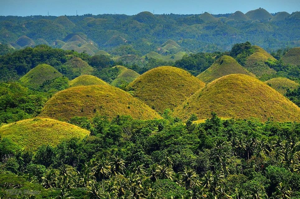 Un vasto paesaggio di numerose colline coniche ed erbose che si ergono da una fitta foresta verde sotto un cielo limpido.