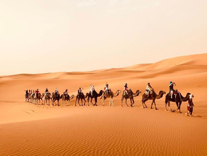 Eine WeRoad-Gruppenreise, bei der Kamele in einer Reihe über weite, orangefarbene Sanddünen reiten.