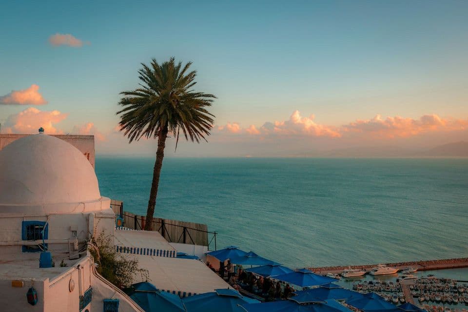 A white domed building and a tall palm tree overlook a tranquil sea and a marina filled with boats at sunset.