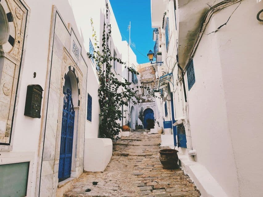 A narrow cobblestone alley winds between whitewashed buildings with bright blue doors and details under a clear blue sky.