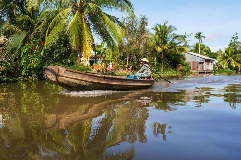 A person wearing a conical hat rows a wooden boat on a river lined with lush palm trees and houses.