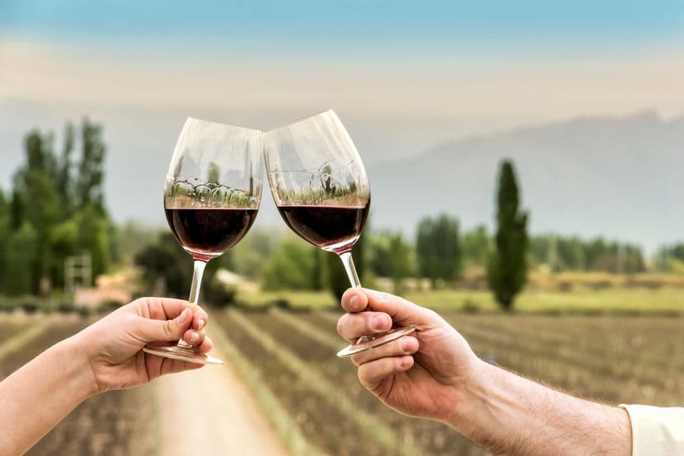 Two hands clinking glasses of red wine in a toast, with a vineyard landscape and mountains in the background.