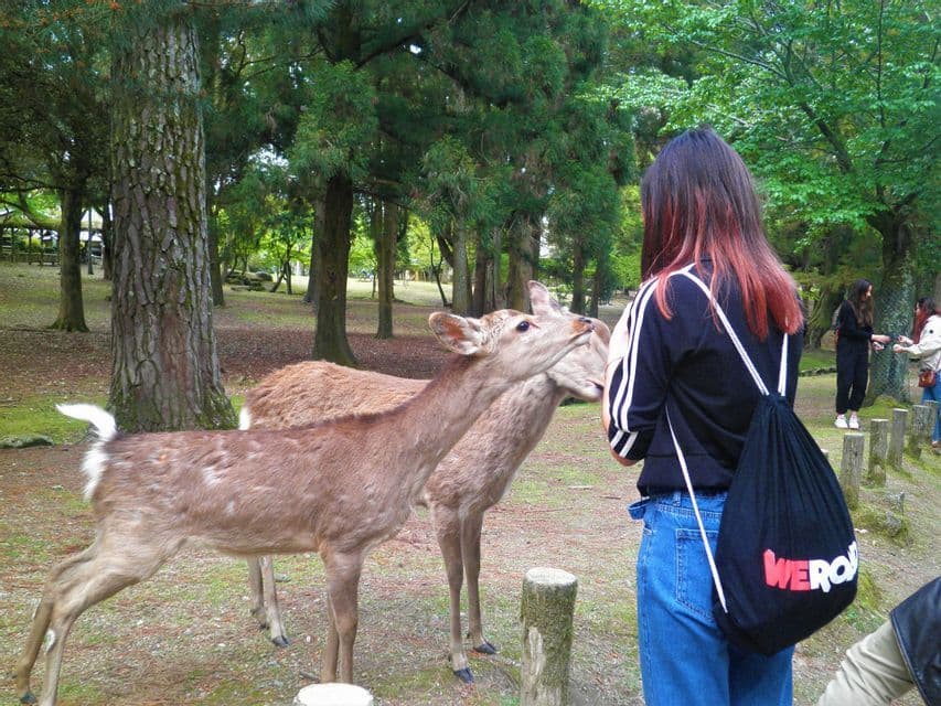 A person on a WeRoad group trip stands in a park while two small deer interact with them.
