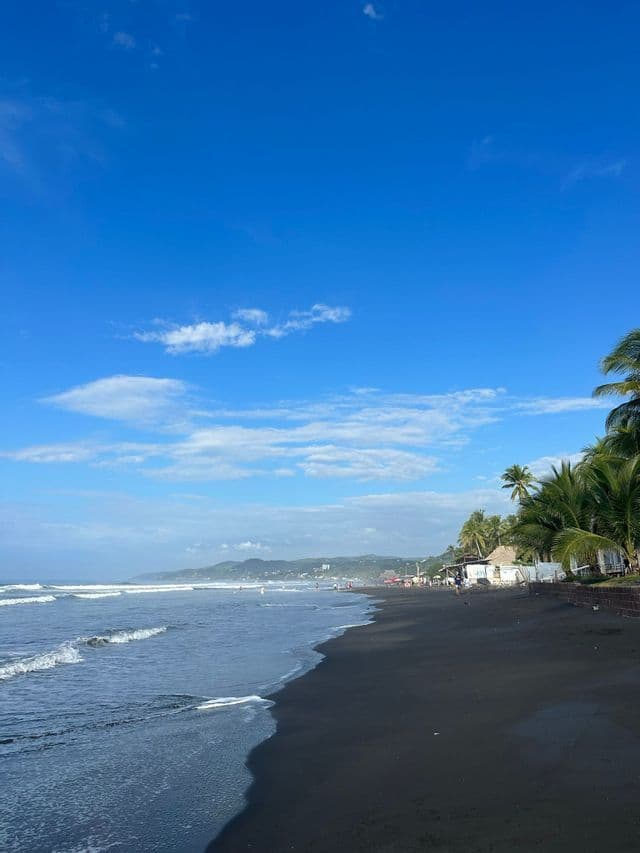 Wellen spülen an einen schwarzen Sandstrand, gesäumt von Palmen und fernen Hügeln unter blauem Himmel.