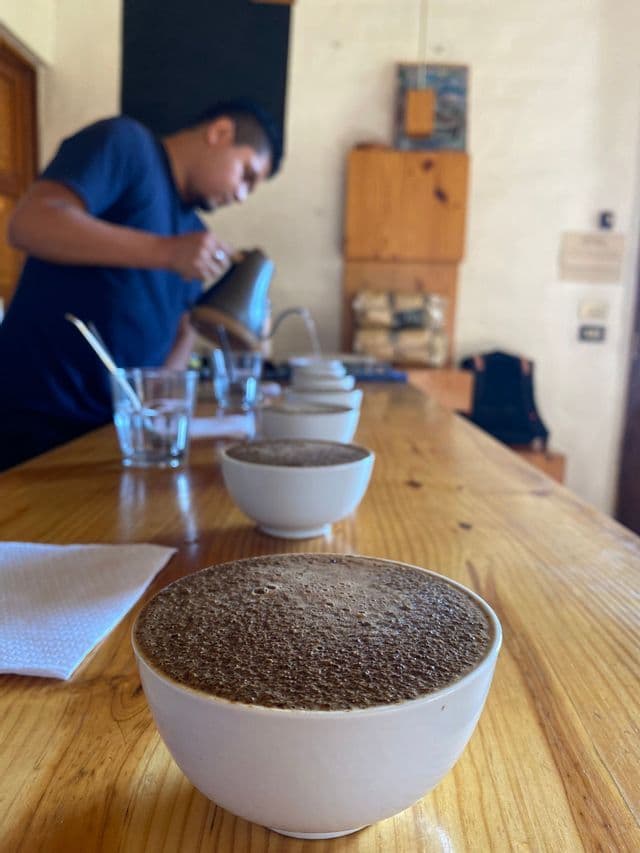 Ein Barista bereitet ein Kaffee-Cupping vor und gießt heißes Wasser in eine Reihe weißer Schalen mit Kaffeepulver auf einer Holztheke.