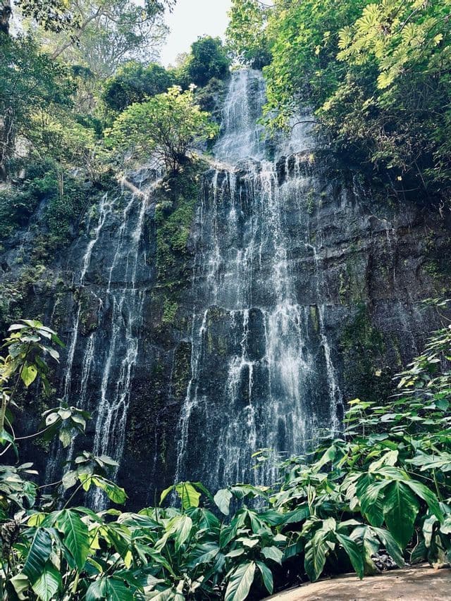 Ein breiter Wasserfall stürzt über eine moosbewachsene Felsklippe, gesehen durch die üppig grünen Blätter tropischer Pflanzen.