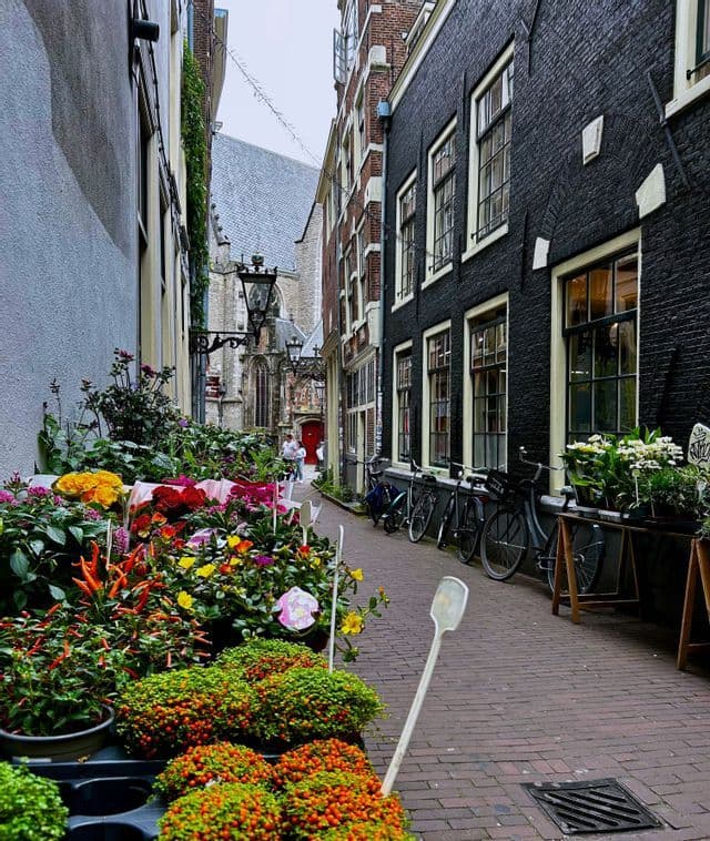 Fleurs et plantes colorées à vendre dans une étroite ruelle pavée bordée de bâtiments historiques et de vélos garés.