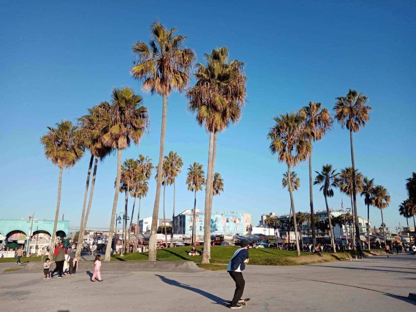 Una persona anda en patineta en un parque soleado rodeado de altas palmeras bajo un cielo azul claro.