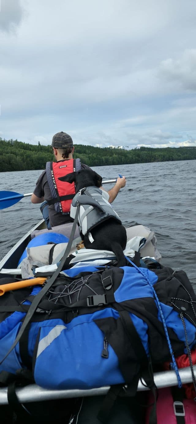 Eine Person und ihr Hund, beide mit Schwimmwesten, sitzen in einem mit Campingausrüstung gefüllten Kanu, während sie über einen See paddeln.