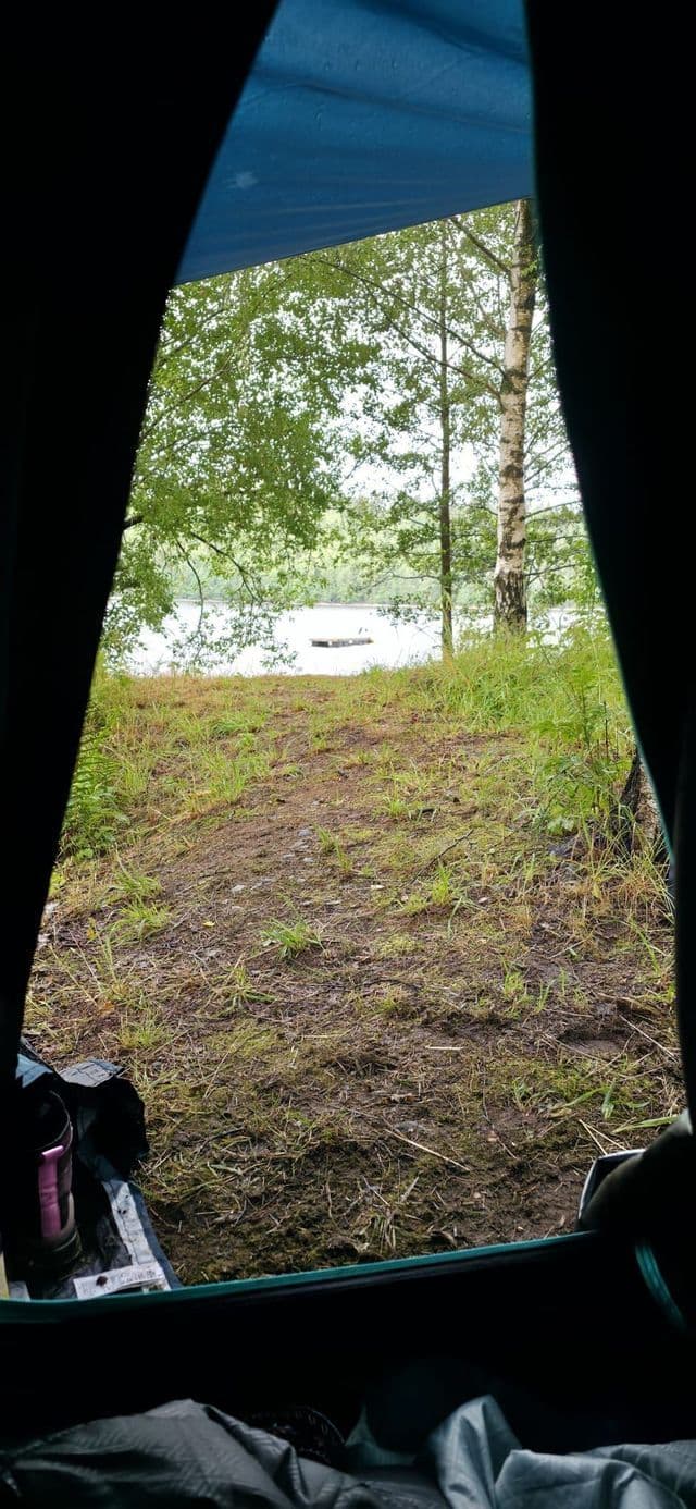 Ein Blick aus einem Campingzelt auf einen grasbewachsenen Uferstreifen, einen See und eine Birke an einem bewölkten Tag.