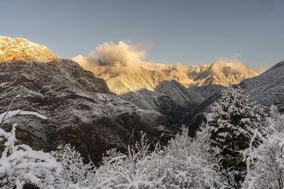 La luz del sol ilumina los picos de una cordillera nevada, con árboles y arbustos cubiertos de nieve en primer plano.