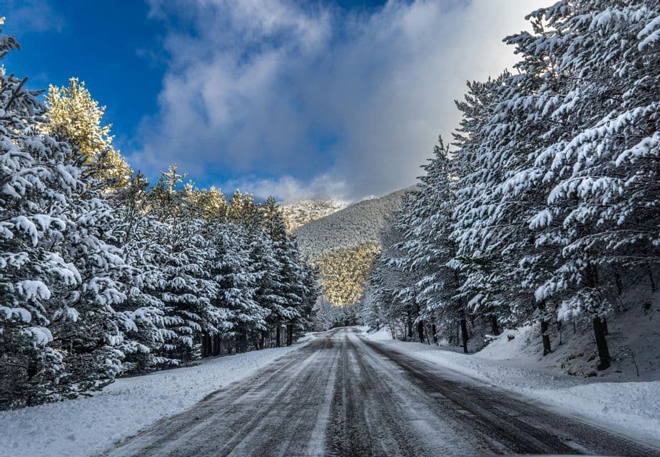 Una carretera mojada serpentea a través de un denso bosque de pinos cubiertos de nieve, con una montaña iluminada por el sol al fondo bajo un cielo azul.