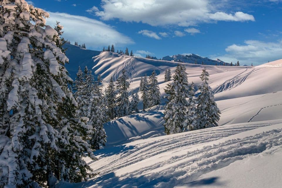 Un paesaggio montano innevato con pini ricoperti di neve fresca sotto un cielo azzurro brillante e nuvole.