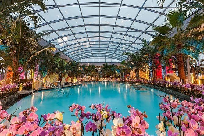 Ein großes Hallenbad ist von Palmen und rosa Orchideen umgeben, alles unter einem gewölbten Glasdach in der Dämmerung.