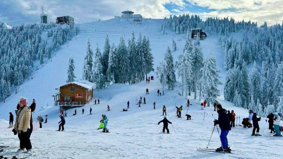 Eine WeRoad-Gruppenreise zum Skifahren und Snowboarden auf einer belebten Piste umgeben von schneebedeckten Tannen.