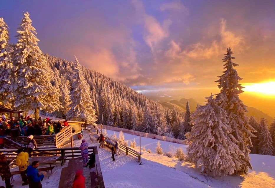 Eine WeRoad-Gruppenreise versammelt sich auf einer Holzterrasse in einem schneebedeckten Bergresort und beobachtet einen bunten Sonnenuntergang über den Föhrenwäldern.