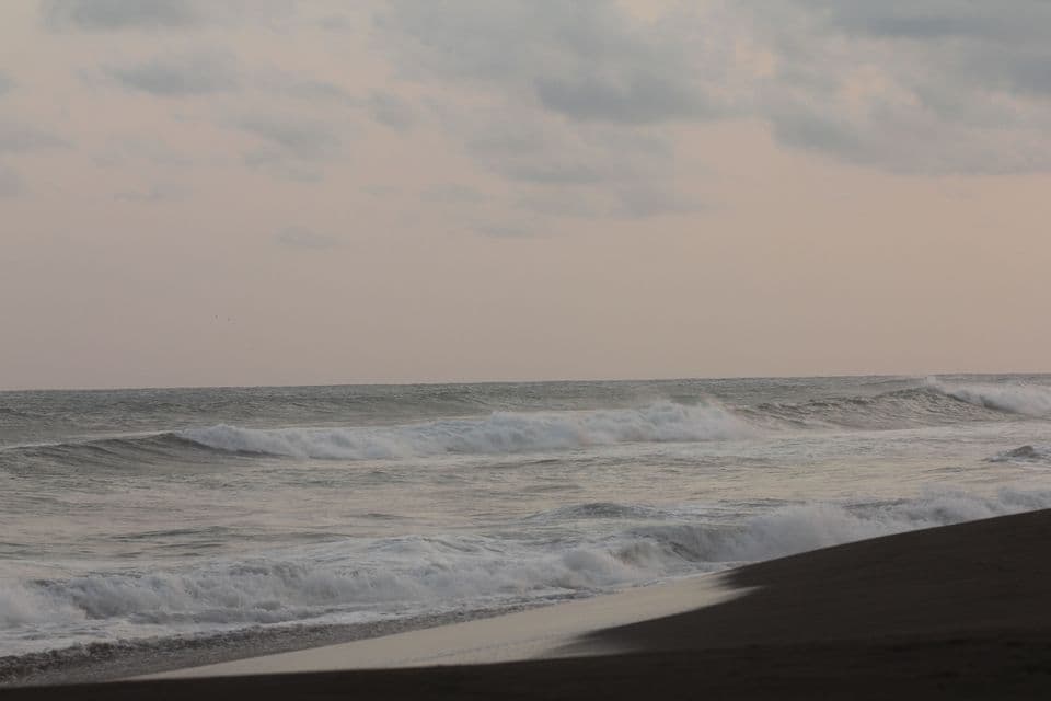 Onde con schiuma bianca si infrangono lungo una costa di sabbia scura sotto un cielo nuvoloso e pallido.