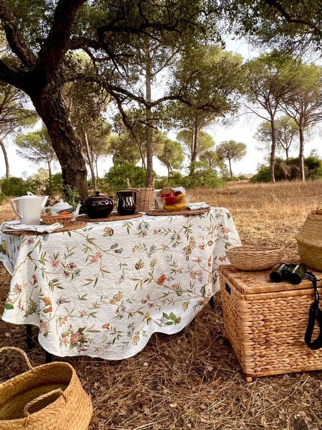 Un tavolo da picnic con una tovaglia floreale, teiere e frutta è apparecchiato sotto un grande albero in una radura erbosa e boscosa.
