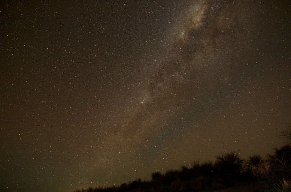 La Via Lattea si estende in un cielo notturno buio e stellato, al di sopra della sagoma di un orizzonte alberato.