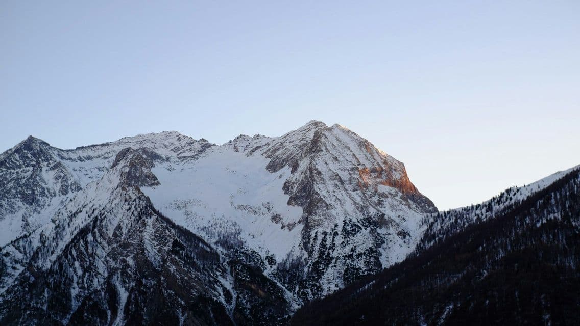 The peak of a snow-covered mountain catches the golden light of the sun against a clear sky, rising above dark forested slopes.