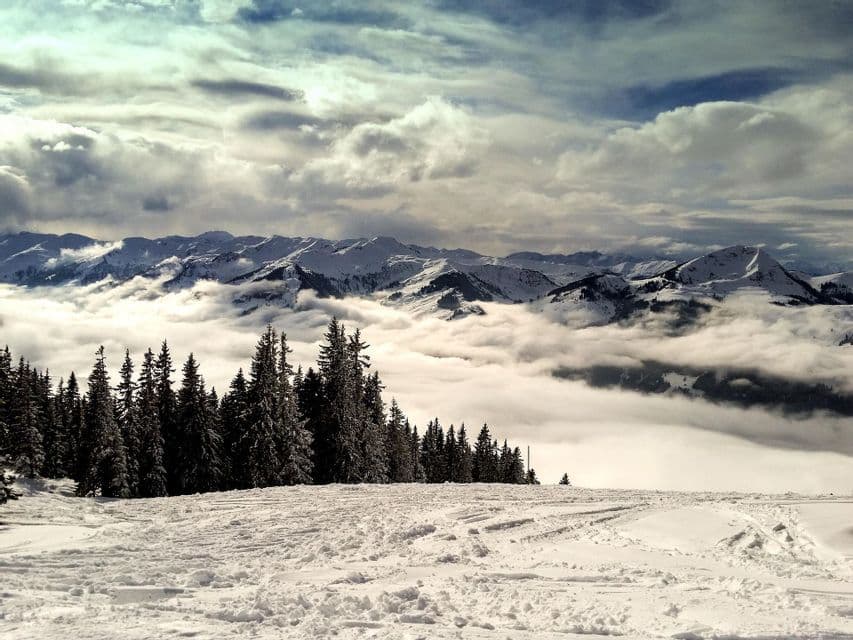Ein schneebedeckter Berghang mit Kiefern überblickt ein weites Wolkenmeer und entfernte schneebedeckte Gipfel unter bewölktem Himmel.