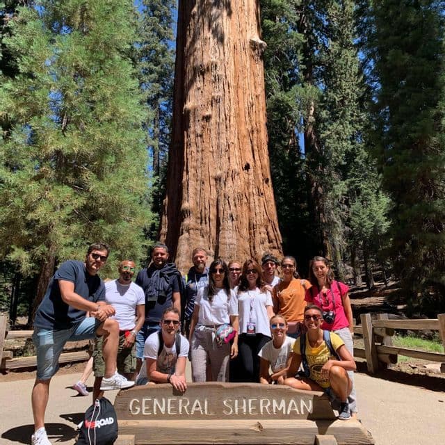 Un groupe WeRoad en voyage posant pour une photo devant l'arbre géant General Sherman dans une forêt dense.