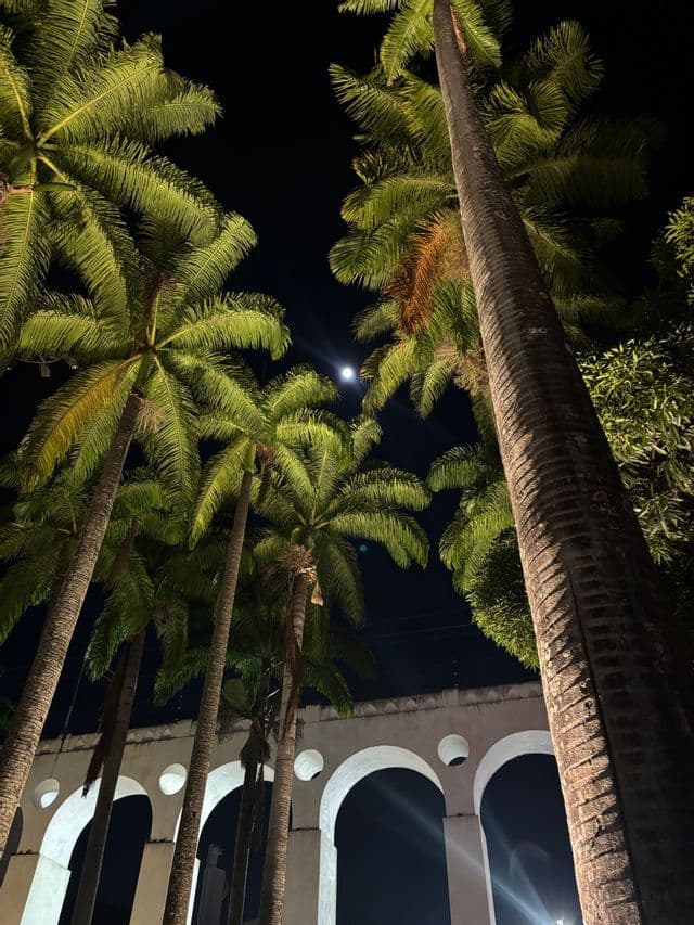 Nachtaufnahme von hohen Palmen und einem weißen Bogenaquädukt, beleuchtet vor dunklem Nachthimmel mit hellem Mond.