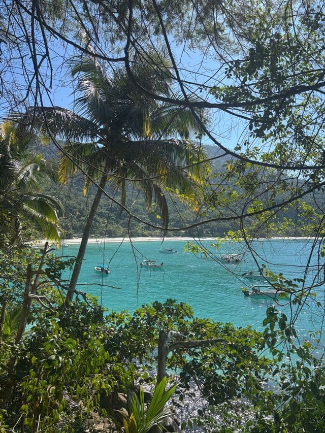 Ein Blick durch Palmen und üppiges Laub auf eine tropische Bucht mit türkisfarbenem Wasser, kleinen Booten und einem weißen Sandstrand.