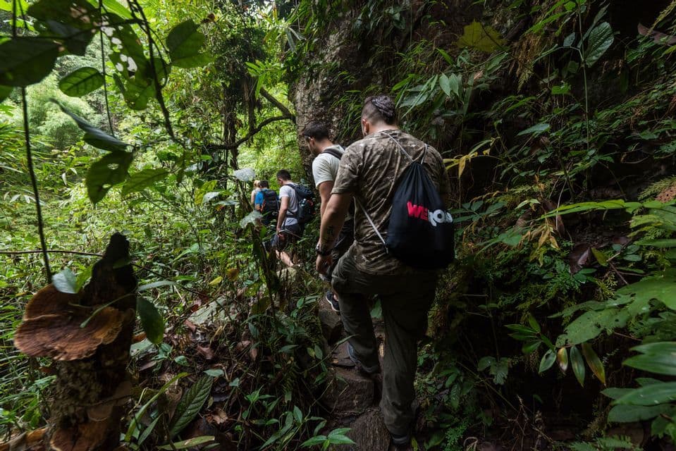Un viaggio di gruppo WeRoad in trekking in fila indiana lungo un sentiero stretto e roccioso attraverso una giungla lussureggiante.