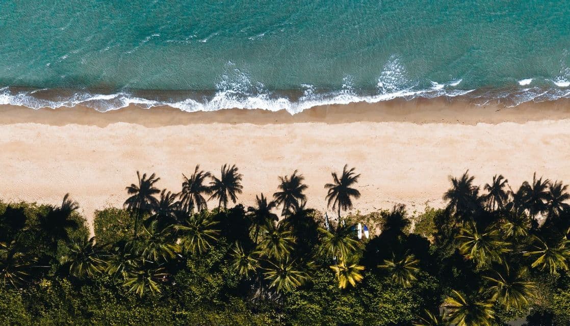 Vista aérea de olas turquesas bañando una playa de arena bordeada por palmeras verdes.
