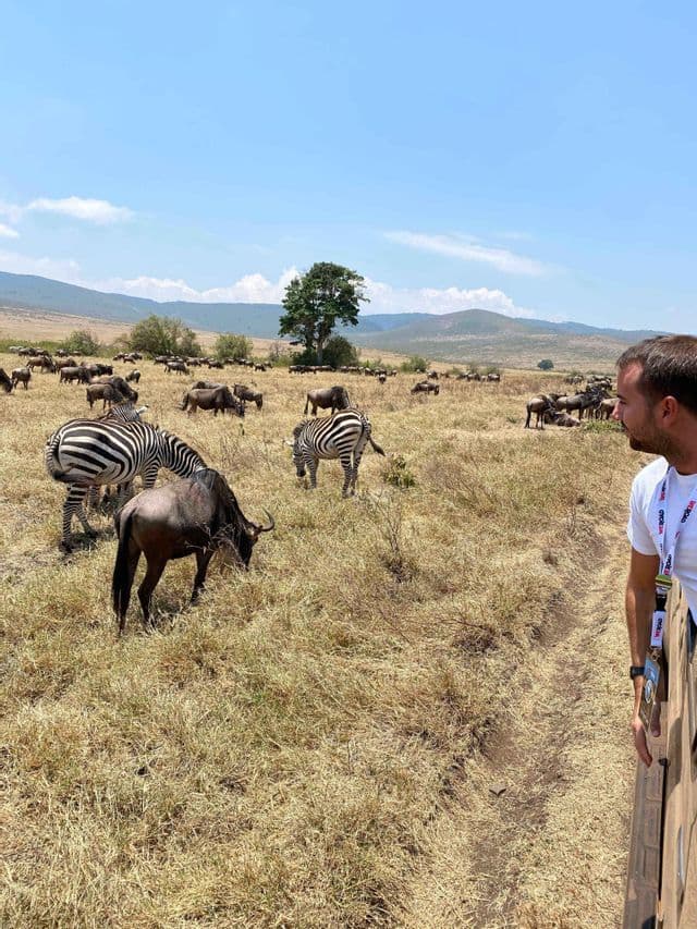 Un uomo a bordo di un veicolo da safari osserva mandrie di zebre e gnu che pascolano in una vasta savana assolata con colline sullo sfondo.