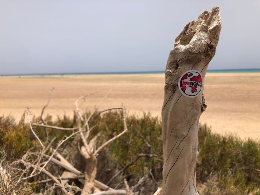 Gros plan sur un autocollant WeRoad sur un morceau de bois flotté patiné, avec une plage de sable et l'océan en arrière-plan.