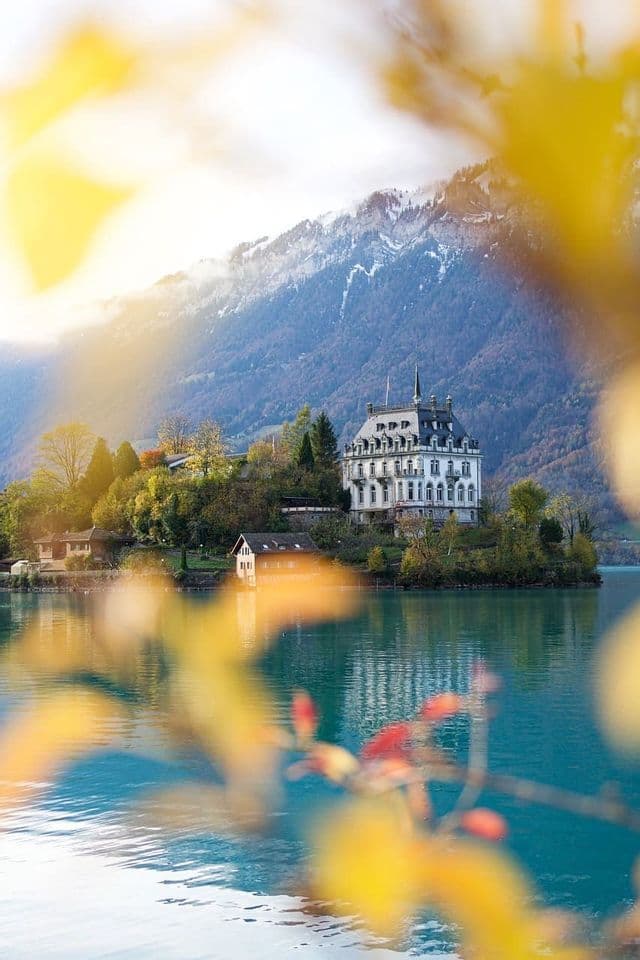 Un château blanc sur les rives d'un lac turquoise au pied d'une montagne enneigée, vu à travers des feuilles d'automne jaunes floues.