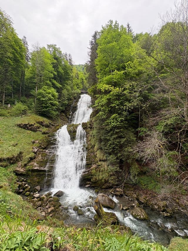 Une cascade à plusieurs niveaux dévale une pente rocheuse et moussue, entourée d'une forêt verdoyante sous un ciel nuageux.